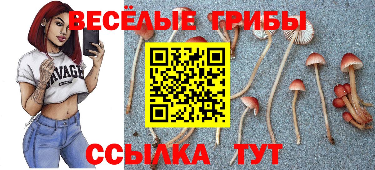 Полевской  Псилоцибиновые грибы MAGIC MUSHROOMS  Вход с VPN 